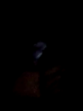 yourwellman online show from March 2026 05:20:01 PM