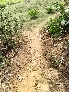 Sheela Sex90 online show from April 2026 06:56:02 AM