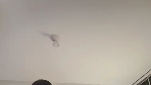 Sofii unicorn online show from March 2026 01:40:02 PM