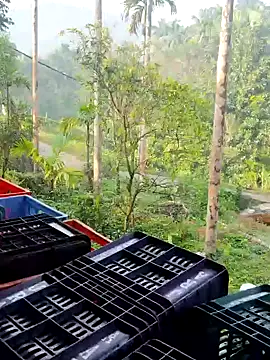 ancyauhuss online show from December 2025 03:14:02 AM