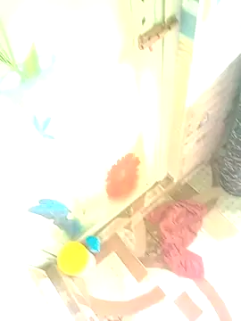 Hooghlypinkivabi online show from January 2026 07:32:01 AM