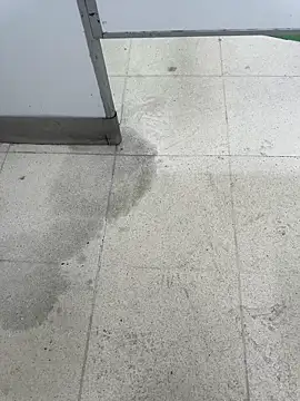 Latin Paisa Boy online show from April 2026 05:18:01 PM