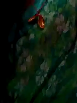 Snapshot of ramya_sri chatting on February 2026 09:30:01 AM ramya sri online show from February 2026 09:30:01 AM