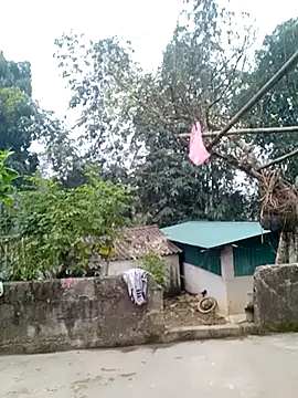 Snapshot of muamua99 chatting on January 2026 12:15:01 AM muamua99 online show from January 2026 12:15:01 AM