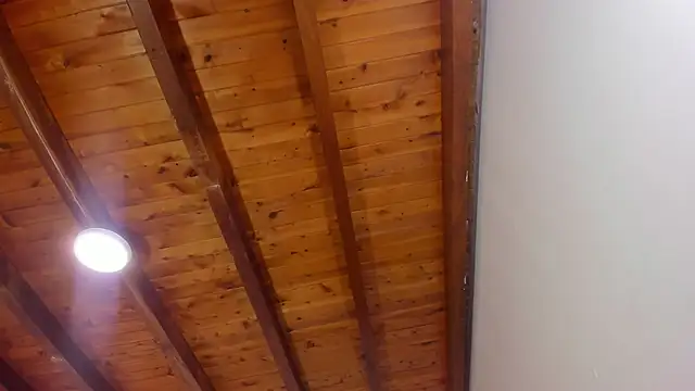 Im FelixHunter online show from April 2026 11:27:01 AM