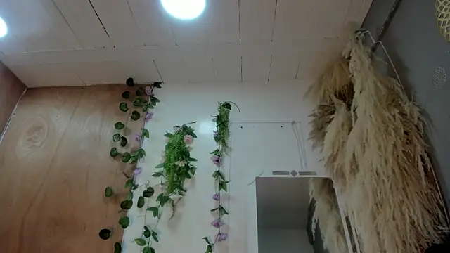 Alice randyy online show from February 2026 01:04:01 PM