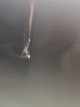 Cupalshow123 online show from January 2026 11:14:01 AM