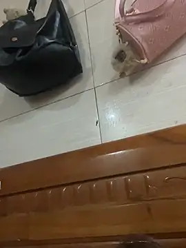 Snapshot of Liness101 chatting on February 2026 12:05:02 AM Liness101 online show from February 2026 12:05:02 AM