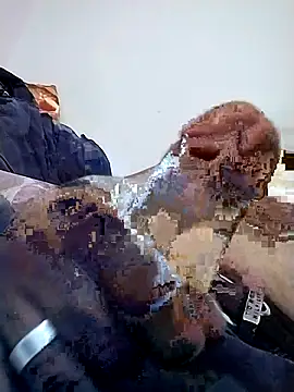 omeler online show from February 2026 11:42:02 PM