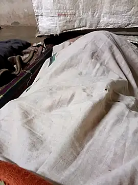 Hot hiuj online show from February 2026 03:27:02 PM