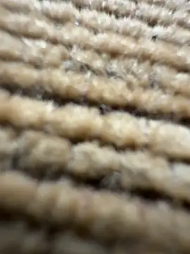 Bufu2213 online show from March 2026 12:12:01 PM