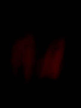 him220 online show from April 2026 12:08:02 AM