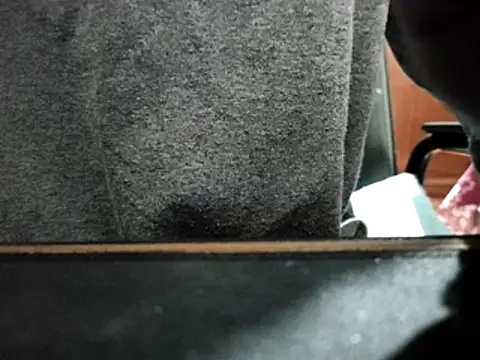 FelpNinfeto online show from August 2026 09:37:02 AM
