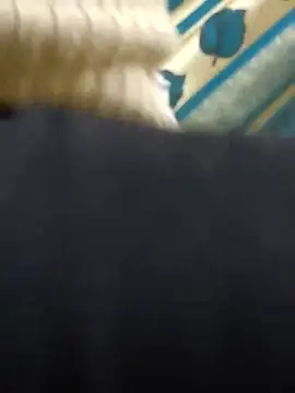 couple fun  online show from March 2026 11:00:02 PM