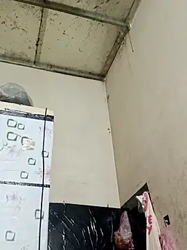 Snapshot of Sana-vn chatting on February 2026 05:24:01 PM Sana-vn online show from February 2026 05:24:01 PM