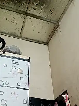 Snapshot of Sana-vn chatting on March 2026 12:23:02 AM Sana-vn online show from March 2026 12:23:02 AM