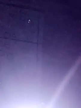 Sana-vn online show from March 2026 02:44:01 PM