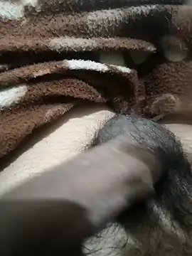  chota bunny  online show from February 2026 04:40:02 AM