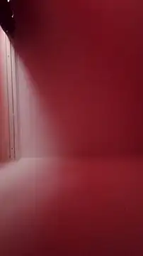 Der Schoene Penis online show from February 2026 11:00:01 AM