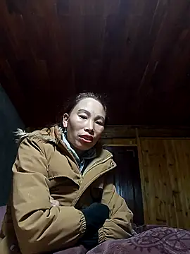 Nllpvp online show from January 2026 02:36:01 AM