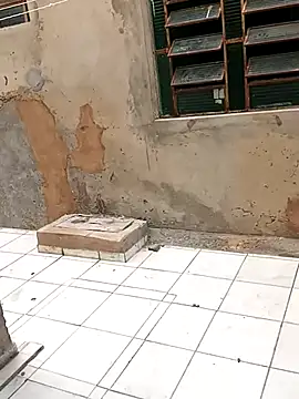 ------bucetuda------ online show from January 2026 12:09:02 PM