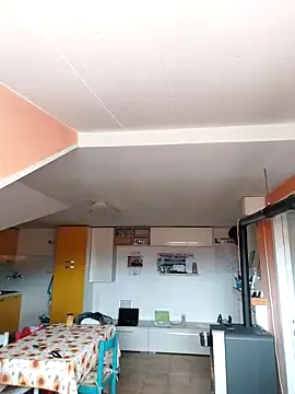 colosone online show from March 2025 11:06:02 AM