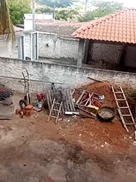     gozada---- online show from January 2026 11:04:02 AM