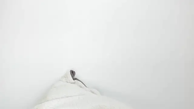 Sarah sumemers online show from March 2026 08:15:02 PM