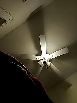 BARBIEfashionNova online show from February 2026 03:03:01 AM