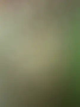 SassynNatty online show from July 2026 06:43:01 PM