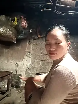 Snapshot of yu--yo chatting on February 2026 01:03:01 PM yu--yo online show from February 2026 01:03:01 PM