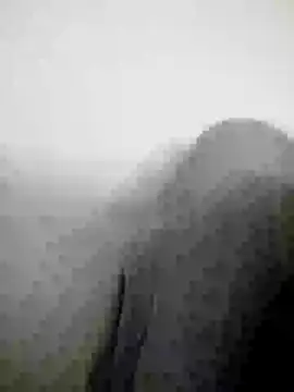 Scook Gray  online show from April 2026 06:08:02 PM