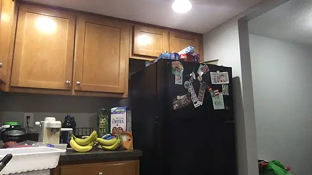 bottombeargaming online show from January 2026 02:28:02 AM