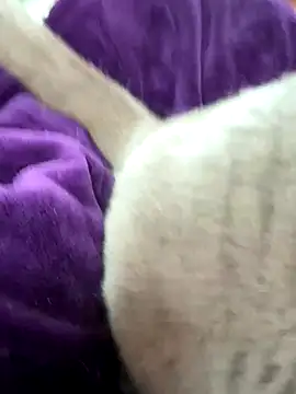 cdfemnaty online show from January 2026 10:07:02 AM