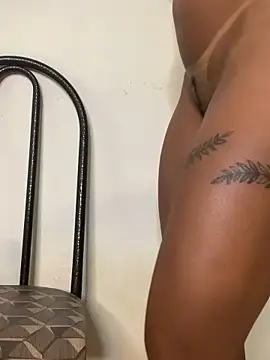 gatadaacademia online show from February 2026 03:30:02 PM