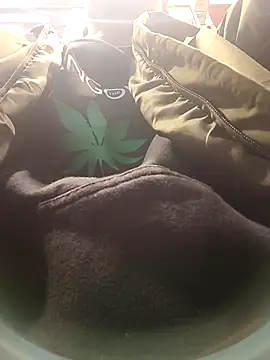 dildarlund online show from January 2026 01:47:02 PM