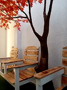 Dante Knox online show from March 2026 11:28:02 AM