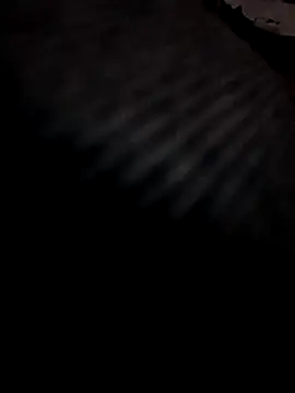 Boy4youuu online show from March 2026 09:15:01 PM