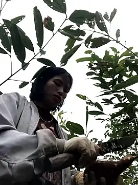 sun-shii online show from January 2026 01:55:02 AM