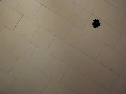 sterng6969 online show from April 2026 08:09:02 AM