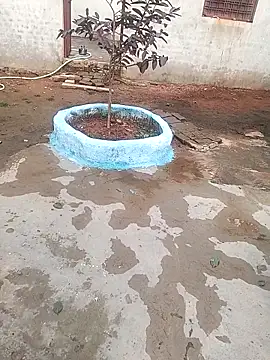 CUTE khusabi online show from January 2026 06:28:02 AM