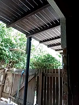 Snapshot of dicklife3485 chatting on February 2026 08:53:01 AM dicklife3485 online show from February 2026 08:53:01 AM