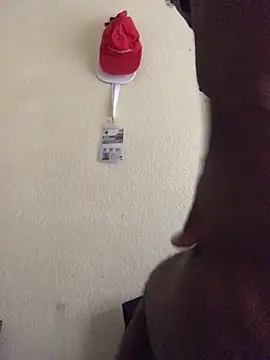 Sirbemine online show from April 2026 11:23:02 AM