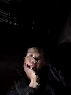 Snapshot of Jooj- chatting on February 2026 03:06:02 PM Jooj- online show from February 2026 03:06:02 PM