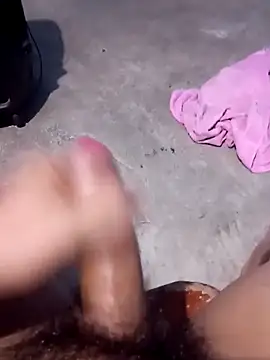 Damilalo online show from February 2026 04:42:02 AM