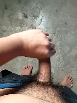 Damilalo online show from February 2026 01:41:02 PM