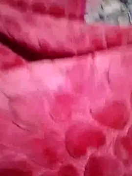 maisamim2 online show from March 2026 08:19:01 AM