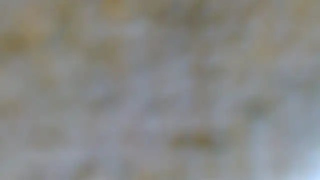 Snapshot of EVAN_TAY chatting on February 2026 07:17:02 PM EVAN TAY online show from February 2026 07:17:02 PM