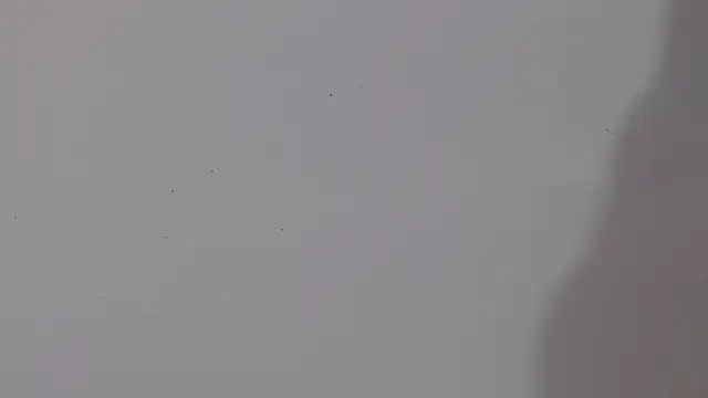 adara cute 69 online show from February 2026 06:12:02 PM