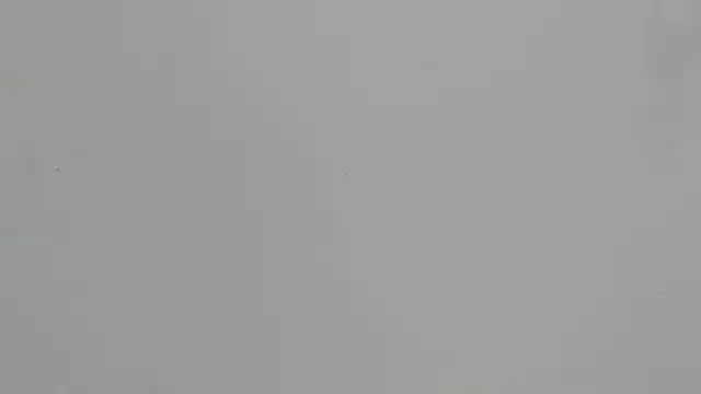 Ashley Ebony   online show from February 2026 12:34:02 PM